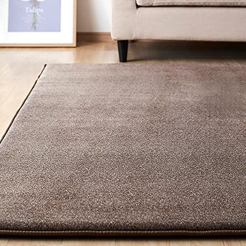 アイリスオーヤマ カーペット ラグ クッションラグ 185×185cm 全厚約3 アイリスオーヤマ カーペット ラグ クッションラグ 185×185cm 全厚約