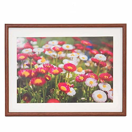 フジカラー FUJICOLOR 木製額縁 M21 ワイド4切 ブラウン 407901