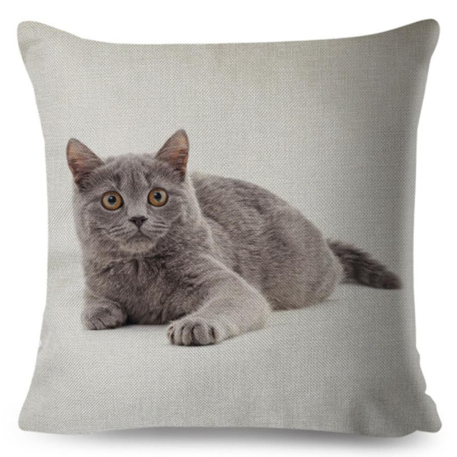 クッションカバー 猫 ブリティッシュショートヘア ネコ 猫柄 アイボリー 45x45cm おしゃれ かわいい アニマル クッション  ピローケース |  | 03