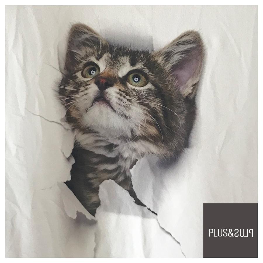 Ｔシャツ 猫 猫柄 大きいサイズ ティーシャツ テーシャツ 小さいサイズ メンズ レディース トップス 3Dプリント かわいい おしゃれ おもしろ 半袖 |  | 11