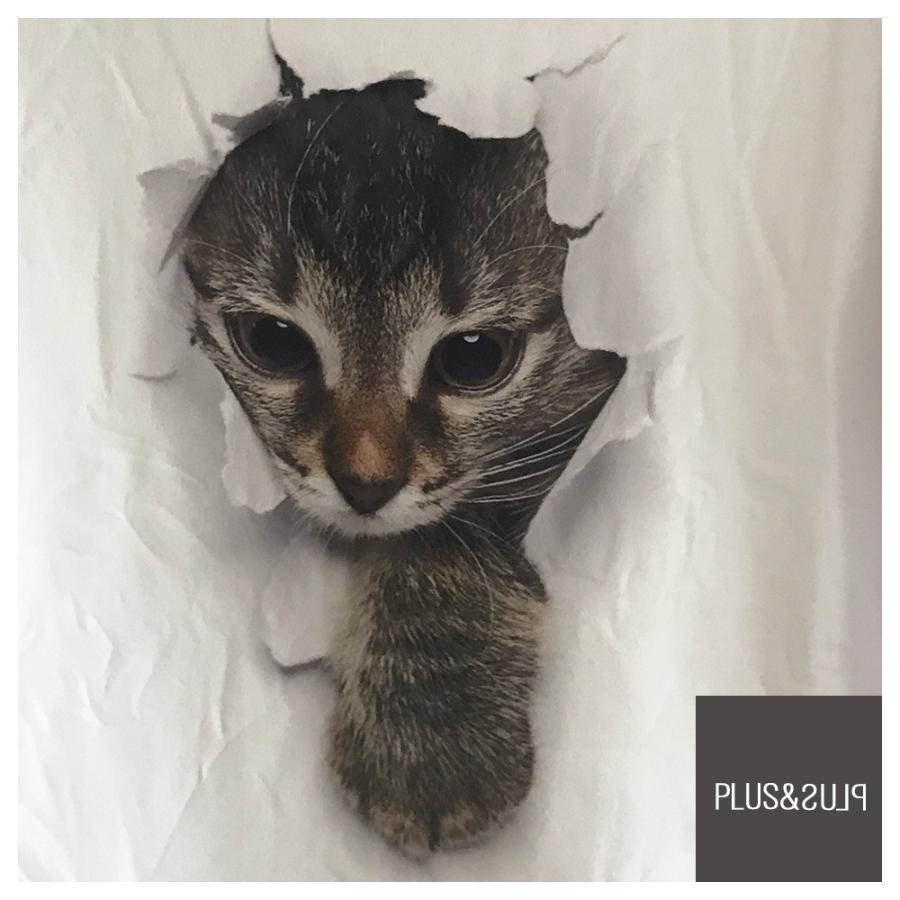 Ｔシャツ 猫 猫柄 大きいサイズ ティーシャツ テーシャツ 小さいサイズ メンズ レディース トップス 3Dプリント かわいい おしゃれ おもしろ 半袖 |  | 09