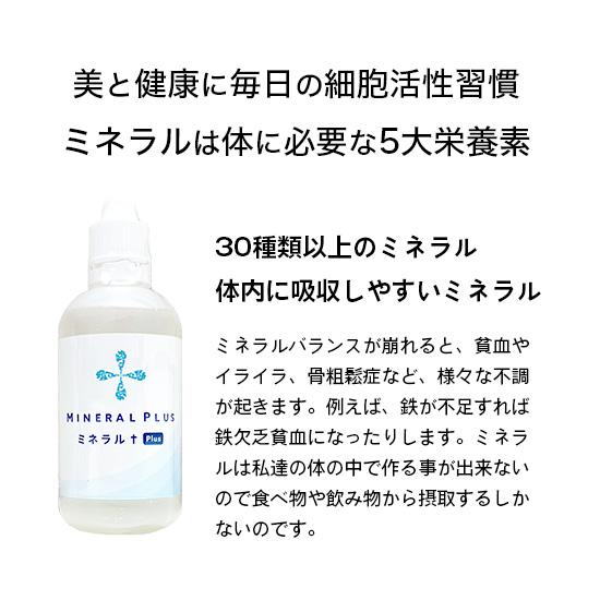 ミネラルプラス（100ml×2本）健康に必要不可欠な30種類以上のミネラル
