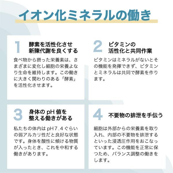 ミネラルプラス（100ml×2本）健康に必要不可欠な30種類以上のミネラル