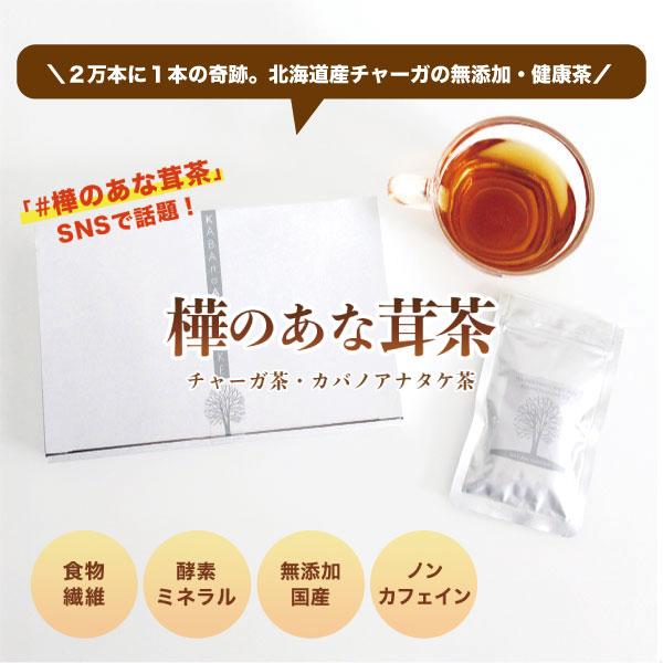 送料無料 樺のあな茸茶 1箱 1g×30包入 ティーバックタイプ チャーガ