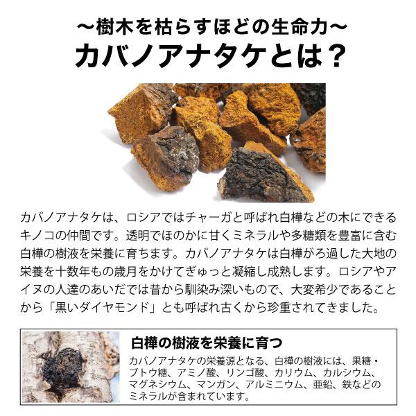 お買い得 樺のあな茸茶 3箱セット ティーバックタイプ チャーガ