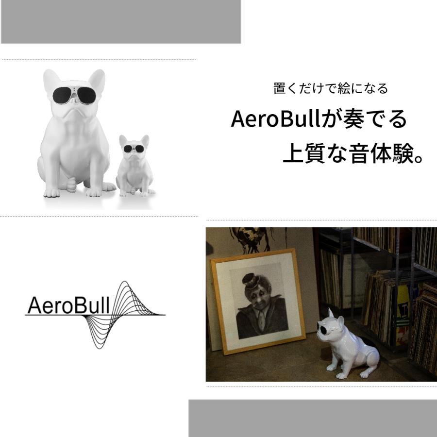 正規代理店】AeroBull エアロブル ワイヤレススピーカー HD1