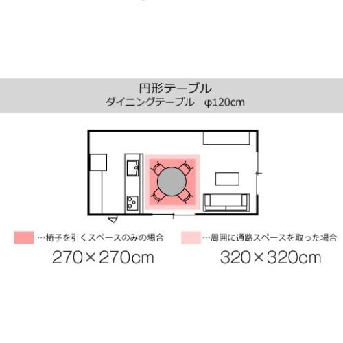名古屋近郊 配送無料】要状態確認 カリガリス エクステンション