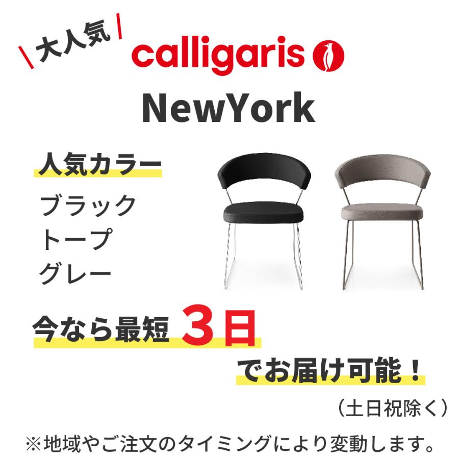 calligaris（カリガリス） 【正規代理店】カリガリス チェア 2脚セット
