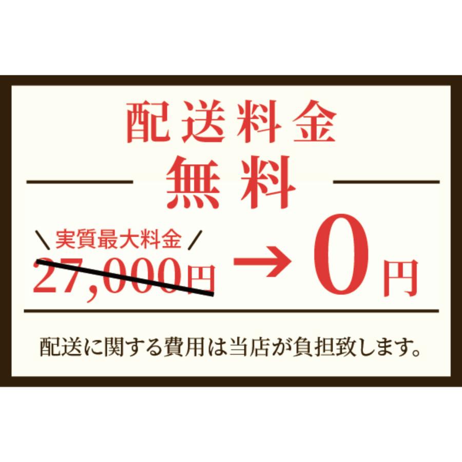 【正規代理店】カリガリス チェア 2脚セット ダイニングチェア BOHEME ボヘム CB1257 メタル 再生皮革 リビングチェア シンプルデザイン | calligaris | 13