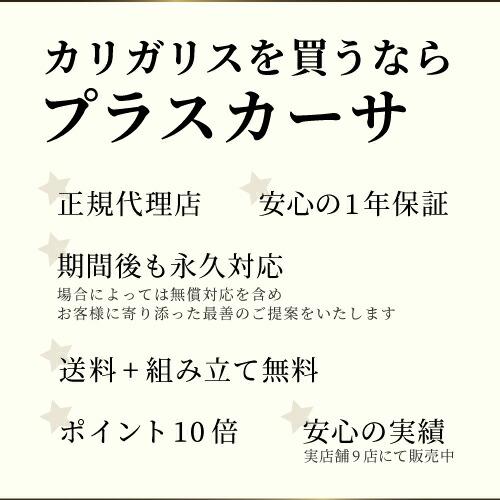 【正規代理店】calligaris カリガリス ダイニングテーブル 伸長式 DUCA セラミック ドュカ エクステション機能  伸長式 ホワイト | calligaris | 19