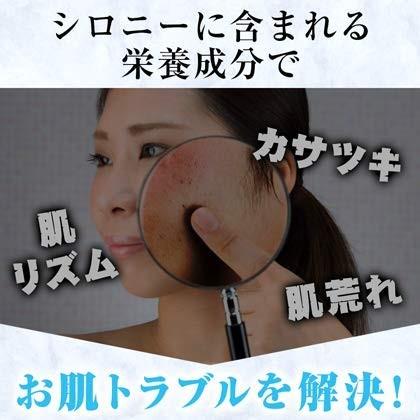 乳液 クリーム 美白 Shirony シロニー 3個セット 黒ずみ 対策 保湿 ハイドロキノン不要 公式 送料無料 即日発送 医薬部外品 Shirony 3 Plus Cherie Yahoo 店 通販 Yahoo ショッピング