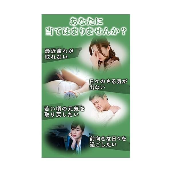 チロシン サプリメント 国産 L チロシン 100 Tyrosine 90粒 白髪予防 抗うつ 精神安定 公式 送料無料 即日発送 Tyrosine 1 Plus Cherie Yahoo 店 通販 Yahoo ショッピング