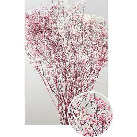 【プリザーブドフラワー　花材　資材】 ミニカスミ草・フラワーベール・白/ローズ・大地農園（Yahoo!・花材問屋Blossom）