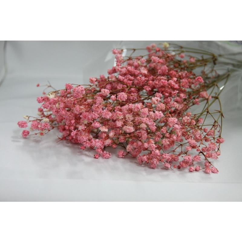 ピンク・アンティークプリザ・カスミ草・大地農園 :00050-100:花材問屋Blossom - 通販 - Yahoo!ショッピング