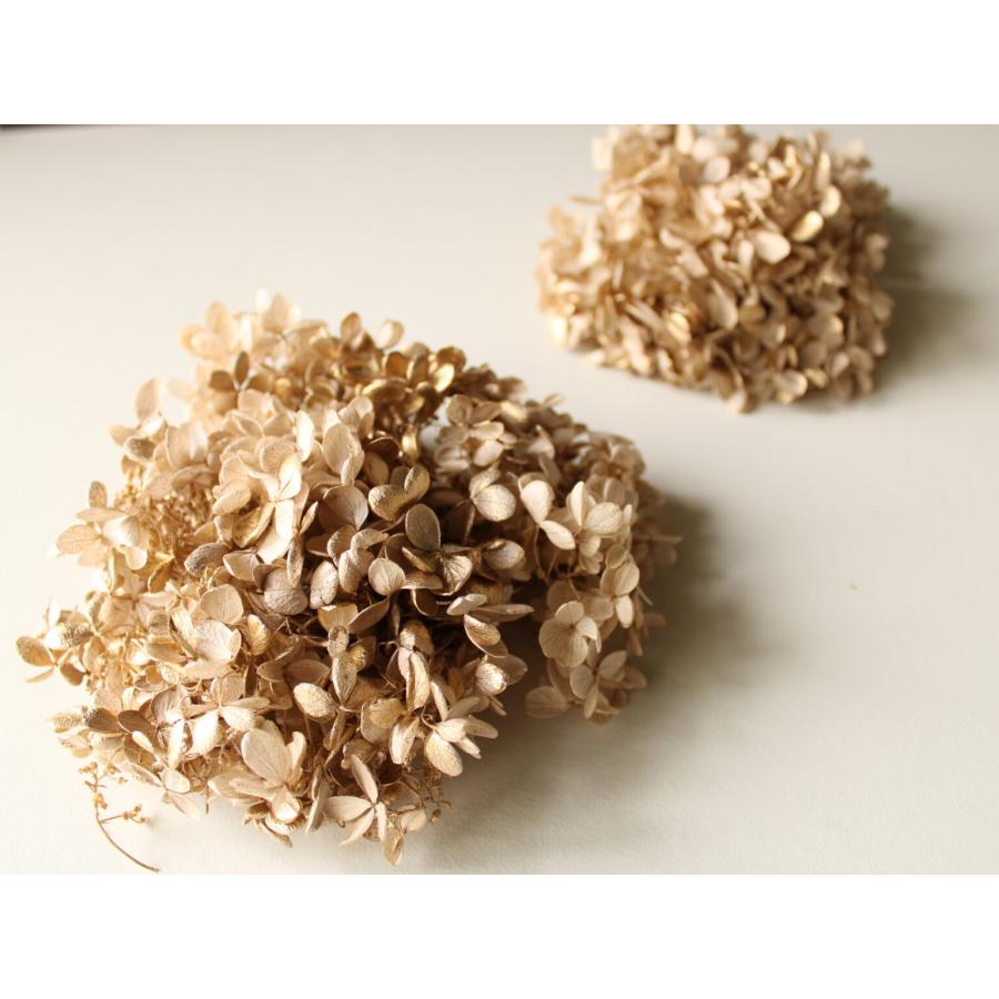 【プリザーブドフラワー　花材　資材】 ピラミッドアジサイ・ヘッド・シャンパンゴールド・大地農園 | 