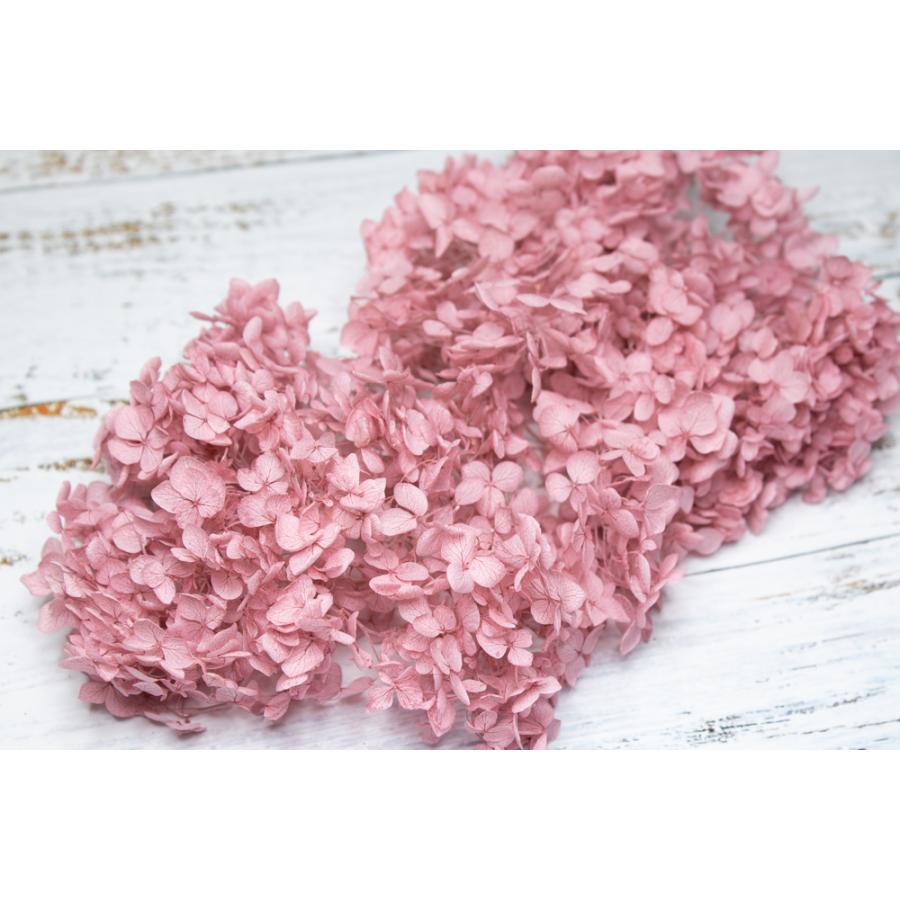 【プリザーブドフラワー　花材　資材】 アナベル・ヘッド・ミスティーピンク・大地農園 | 