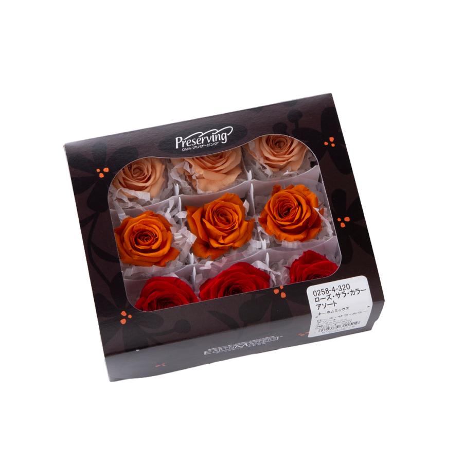 【プリザーブドフラワー　花材　資材】 ローズ・サラ・カラーアソート・オータムミックス（9輪入り） |  | 01