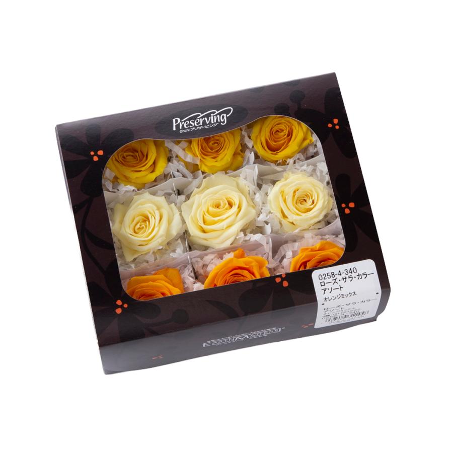 【プリザーブドフラワー　花材　資材】 ローズ・サラ・カラーアソート・オレンジミックス（9輪入り） |  | 01
