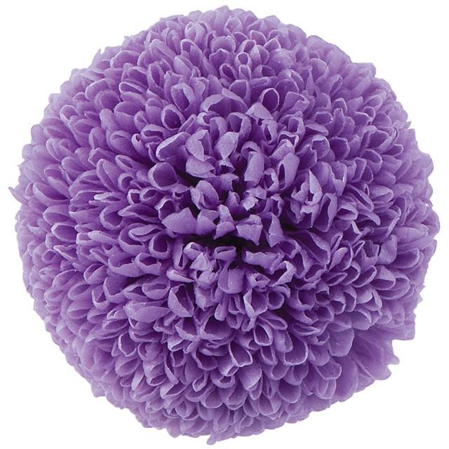 スウィートライラック ポンポン菊 451 花材問屋blossom 通販 Yahoo ショッピング