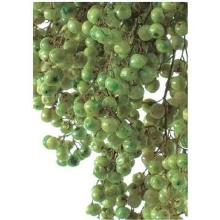 【プリザーブドフラワー　花材　資材】 ライトグリーン・ペッパーベリープリザーブド | 