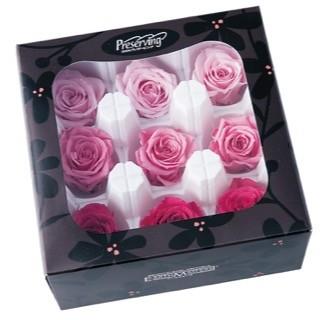【プリザーブドフラワー　花材　資材】 ローズいずみ・ピンクミックス | 