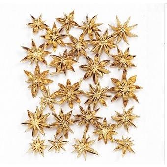 【プリザーブドフラワー　ドライフラワー　花材　資材】 スターアニス・ゴールド・大地農園（Yahoo!・花材問屋Blossom）