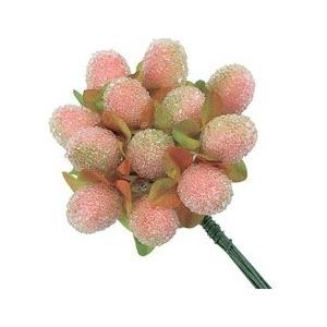 ライムピンク シュガーヒペリカム 100 花材問屋blossom 通販 Yahoo ショッピング