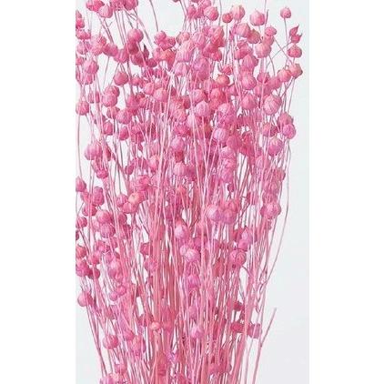 【ドライフラワー　花材　資材】ストロベリー・リンフラワー（Yahoo!・花材問屋Blossom）