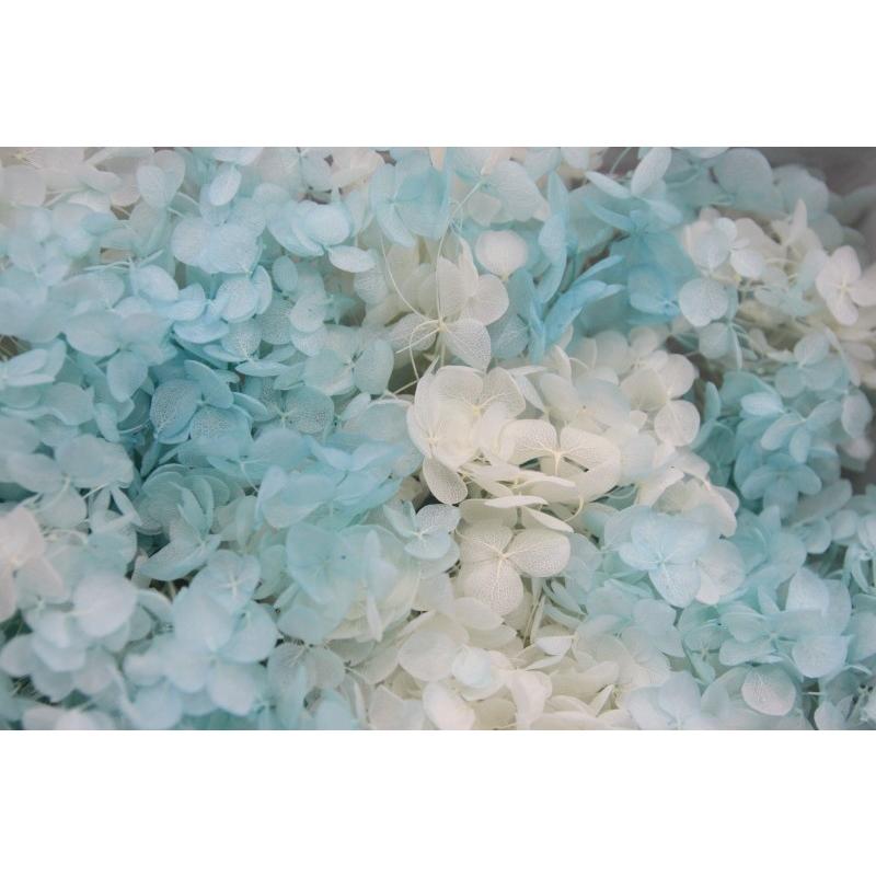 【TOKA】アナベルパルフェ・ソーダフロート | 