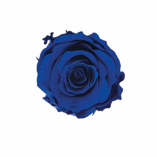 プリザーブドフラワー・ グランブルー・ピッコラブロッサム・ | 