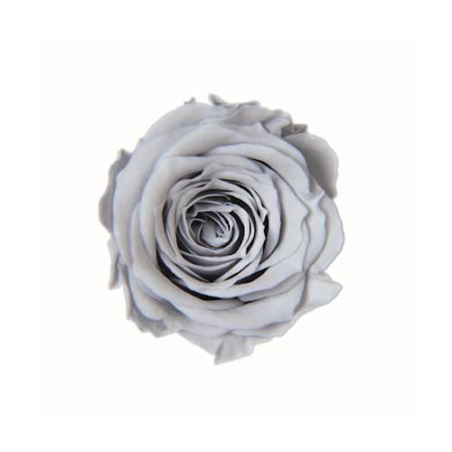 プリザーブドフラワー・ シルキーグレー・ピッコラブロッサム・ | 