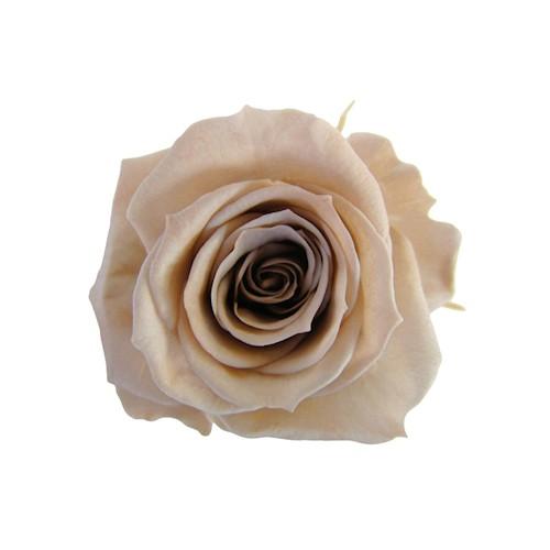 ヘーゼルナッツ スプレーローズ フロールエバー プリザーブドフラワー シルクフラワー 花材 Fl070 44 花材問屋blossom 通販 Yahoo ショッピング