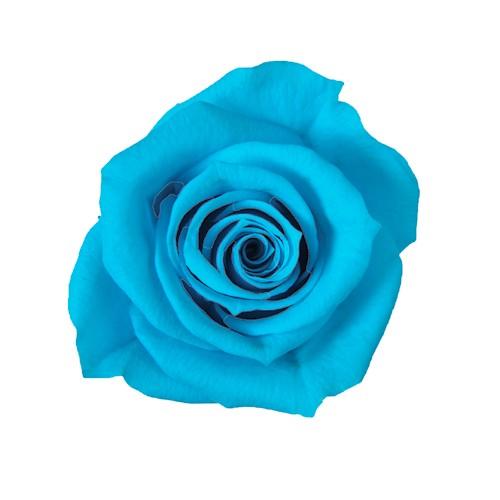 新しいコレクション カリビアンブルー スプレーローズ フロールエバー クリアランスsale!期間限定! 花材 プリザーブドフラワー