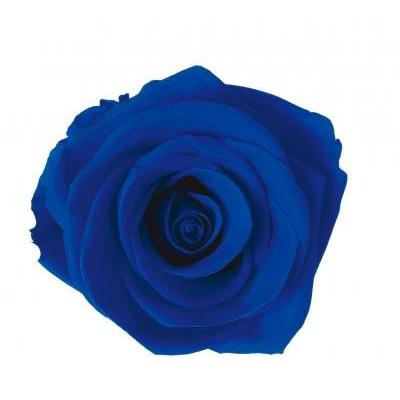 プリザーブドフラワー　花材　資材・ サファイアブルーN・アイネス・ロザヴィ | 