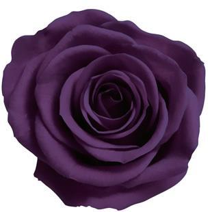 プリザーブドフラワー　花材　資材・ ヴァイオレット・アイネス・ロザヴィ | 