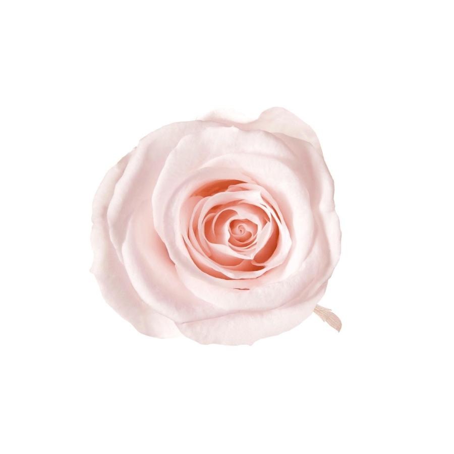 プリザーブドフラワー　花材　資材・ ピンクシャンペーン・アイネスシスター・ロザヴィ | 