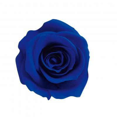 プリザーブドフラワー　花材　資材・ newサファイアブルー・アイネスシスター・ロザヴィ | 