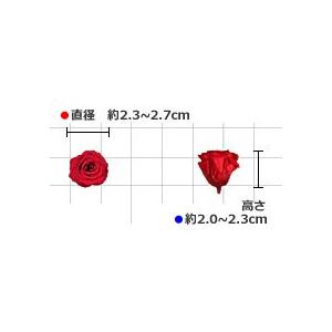プリザーブドフラワー　花材　資材・ ピンクフランボワーズ・アヴァ・ロザヴィ |  | 01