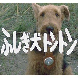 ふしぎ犬トントン DVD-BOX HDリマスター |  | 02