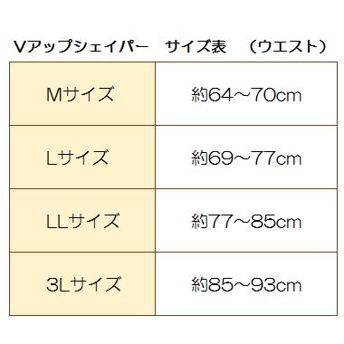 Vアップシェイパー ヒロミ プロデュース ブイアップシェイパー |  | 01
