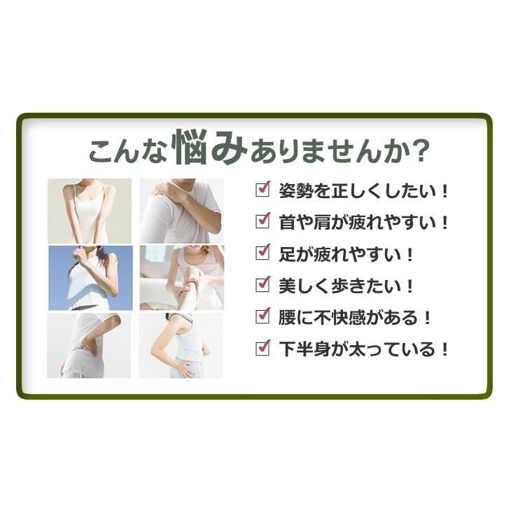 楽チンウォーキン 着圧ハイソックス Ikb0018 カサハラ式 笠原式 Body K 外反母趾まっすぐサポーター 女性用 メール便対応 1716 プラスデザイン 通販 Yahoo ショッピング