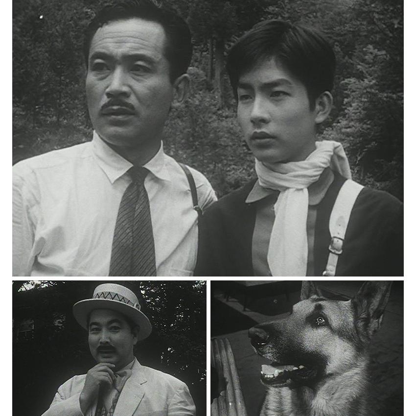 新 少年ジェット コレクターズDVD デジタルリマスター版 甦るヒーローライブラリー 第28集 ベストフィールド |  | 02