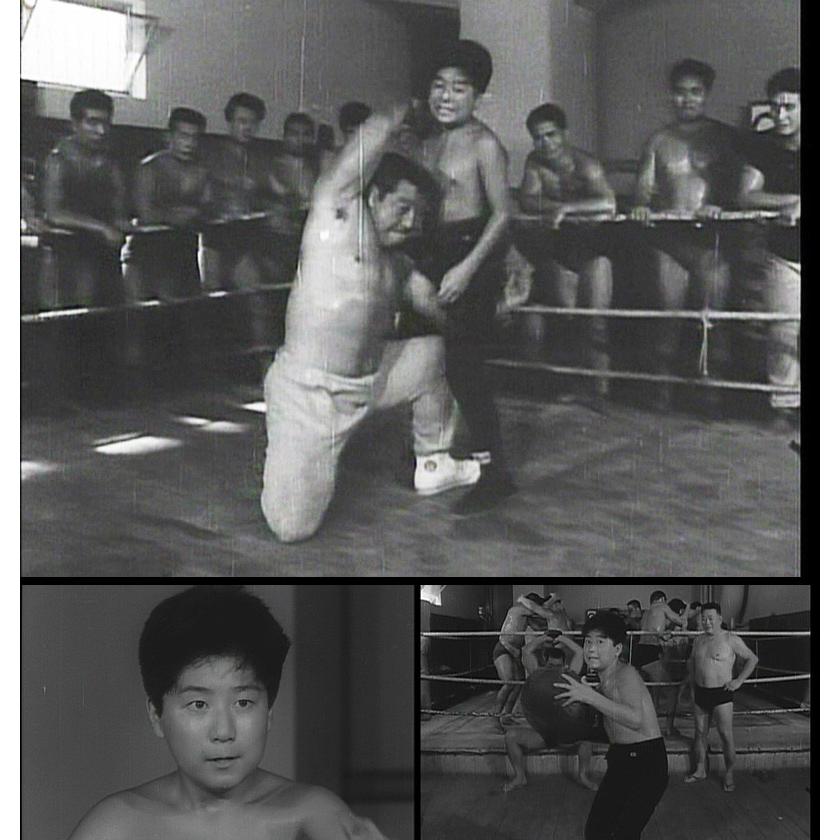 チャンピオン太　コレクターズDVD デジタルリマスター版3枚組BOX 全話収録 チャンピオン太 コレクターズDVD デジタルリマスター版 甦る