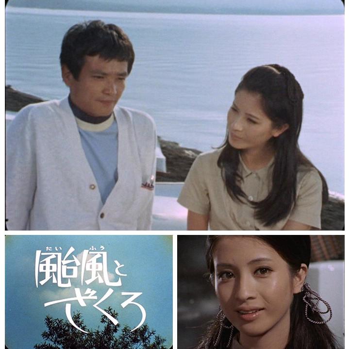 昭和の名作ライブラリー 第49集 颱風とざくろ コレクターズDVD デジタルリ… Amazon.co.jp: 昭和の名作ライブラリー 第49集 颱風とざくろ