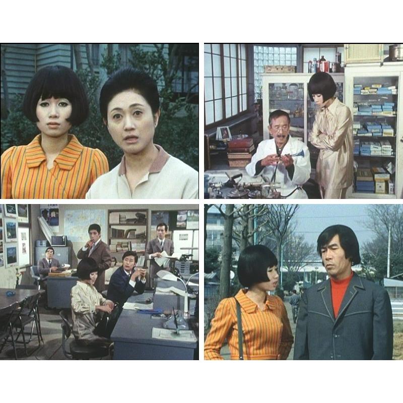 恋人はLサイズ コレクターズDVD デジタルリマスター版 昭和の名作ライブラリー 第56集 ベストフィールド |  | 02