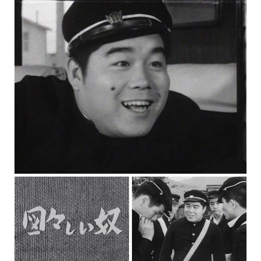 図々しい奴 コレクターズDVD 昭和の名作ライブラリー 第60集 ベストフィールド |  | 01