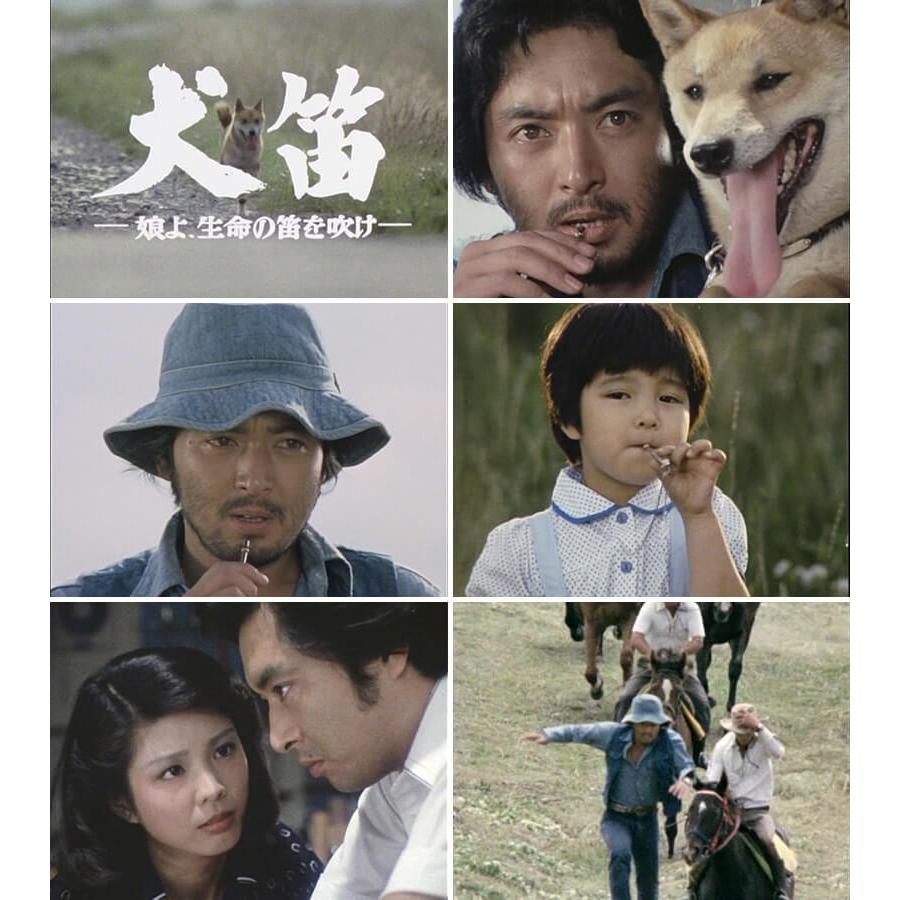 犬笛 −娘よ、生命の笛を吹け− コレクターズDVD 昭和の名作ライブラリー 第65集 ベストフィールド |  | 01