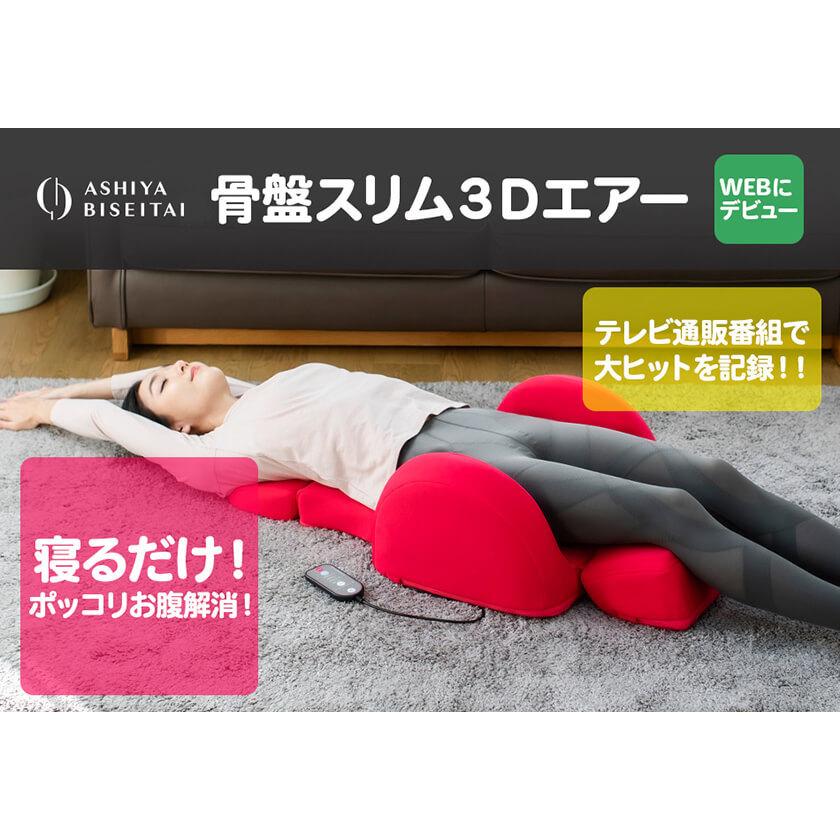 芦屋美整体 骨盤スリム3Dエアー 骨盤 ケア エアーマッサージャー 座椅子 椅子 チェア CONY コニー |  | 03