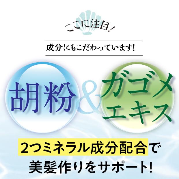 胡粉美人ヘアファンデ ポンポンするだけで手軽に白髪（根元）をカバー 髪なじみがよく自然な仕上がりに |  | 06