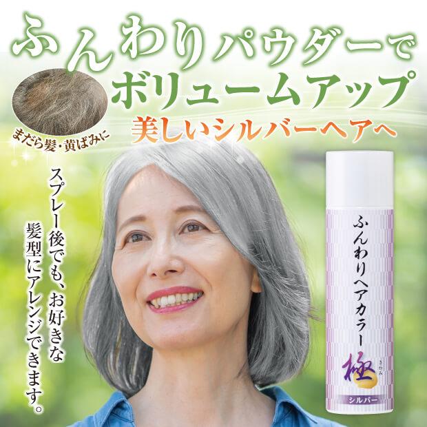 ふんわりヘアカラー シルバー 極 ふんわりパウダーでボリュームアップ 美しいシルバーヘアへ |  | 01